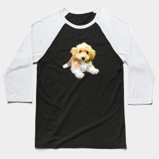Golden doodle labradoodle cavoodle cavapoo poodle mix Baseball T-Shirt